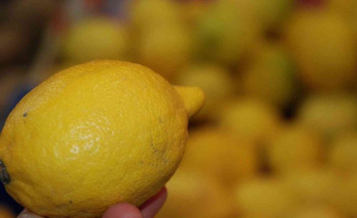 Soğuk algınlığına karşı limon