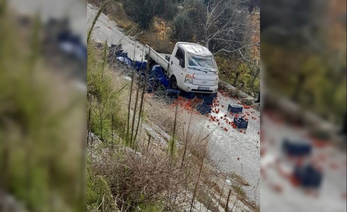 Alaşehir’de meyve yüklü kamyonet şarampole devrildi