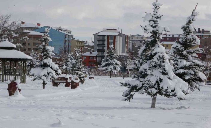 Ardahan’da beyaz güzellik