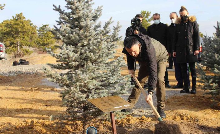 Bakan Pakdemirli, 252 milyonuncu fidanı toprakla buluşturarak can suyu verdi.