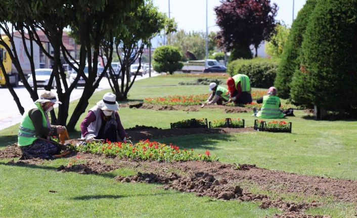 Bin 920 ağaç, 443 bin çiçek toprakla buluştu