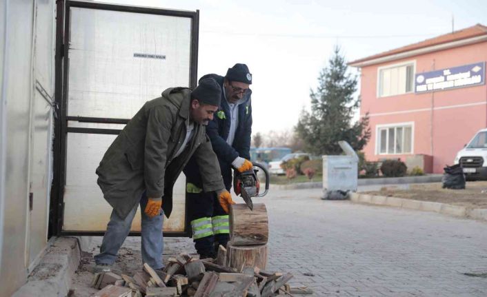 Budanan ağaçlar ihtiyaç sahiplerine yakacak oluyor