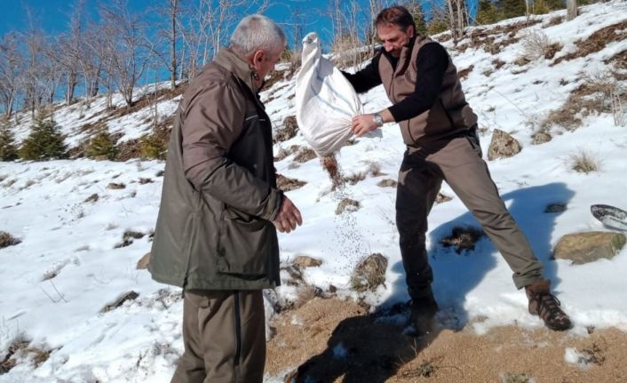 Elazığ’da yaban hayvanları için doğaya yem bırakıldı