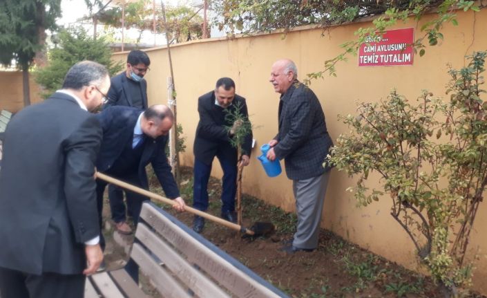 Engelliler adına cami bahçelerinde fidan dikildi