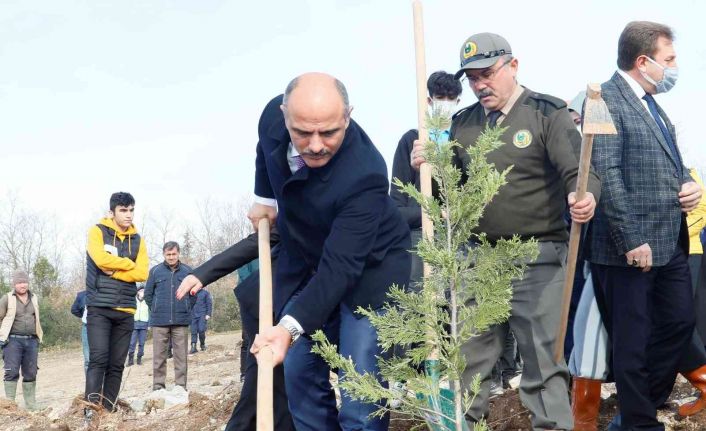 Fidanlar Alaaddin öğretmen için dikildi