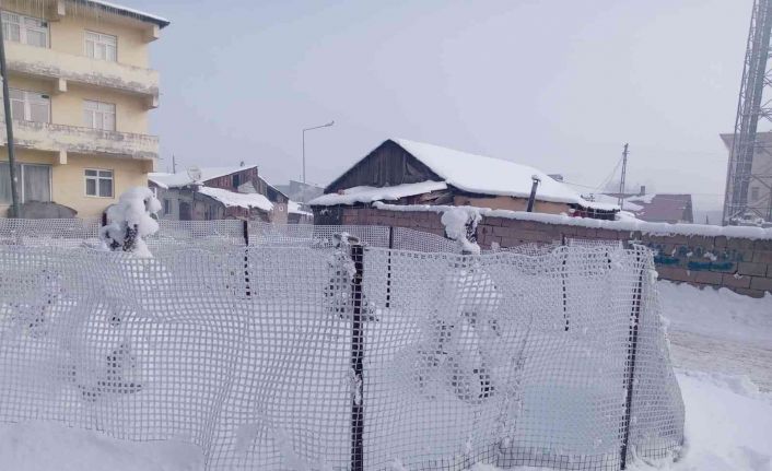 Göle’de soğuk hava hayatı olumsuz etkiledi