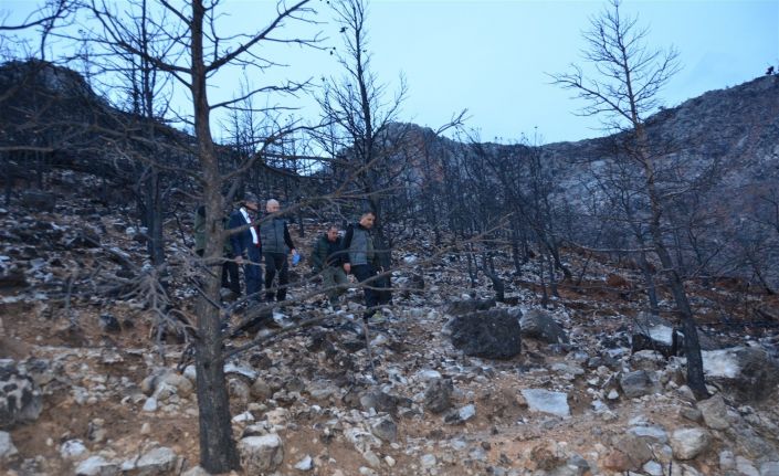 Gülnar’da yanan orman sahaları yeşillendiriliyor