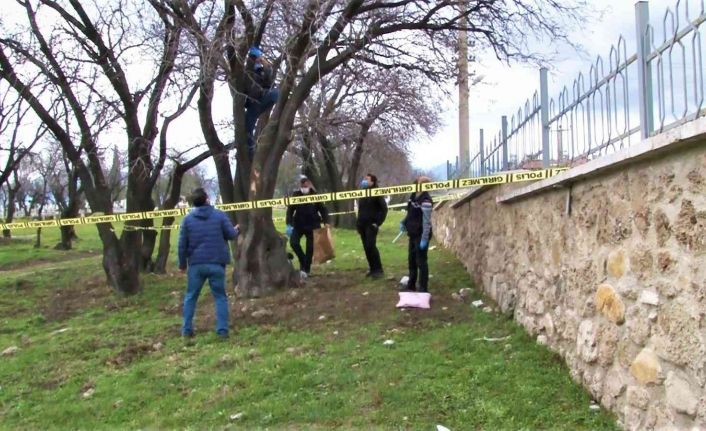 İpten alıp kalp masajıyla hayata tutundurdular