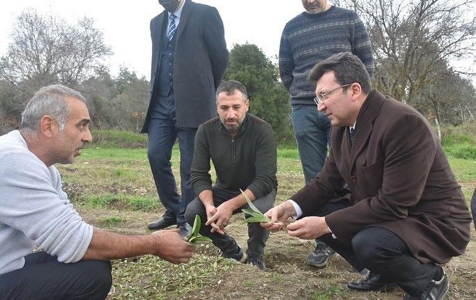 Kaymakam Şahin, “Salep üretimi konusunda çalışıyoruz”