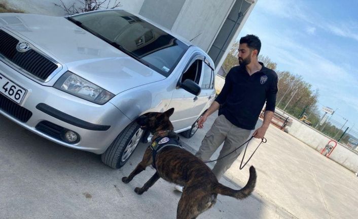 Narkotik köpeği ‘Sis’ uyuşturucuya geçit vermiyor