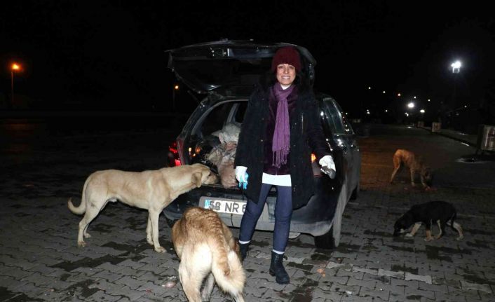 Sokak köpekleri onu kornasından tanıyor