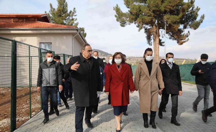 Türkiye’nin en büyük hayvan barınağının yapımı tamamlandı