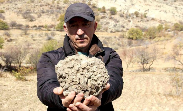 Tut’ta 10 kilo ağırlığında 65 milyon yıllık deniz mercanı bulundu