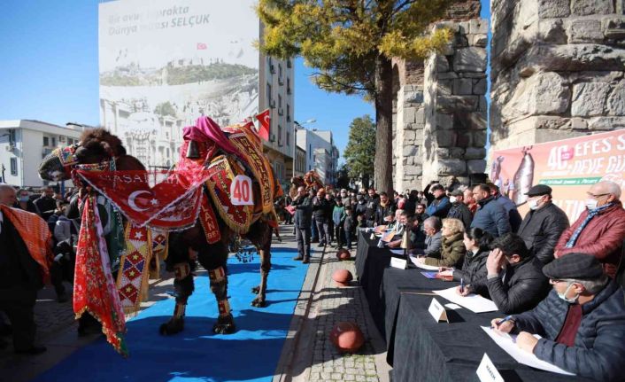 40. Uluslararası Efes Selçuk Deve Güreşleri Festivali başladı