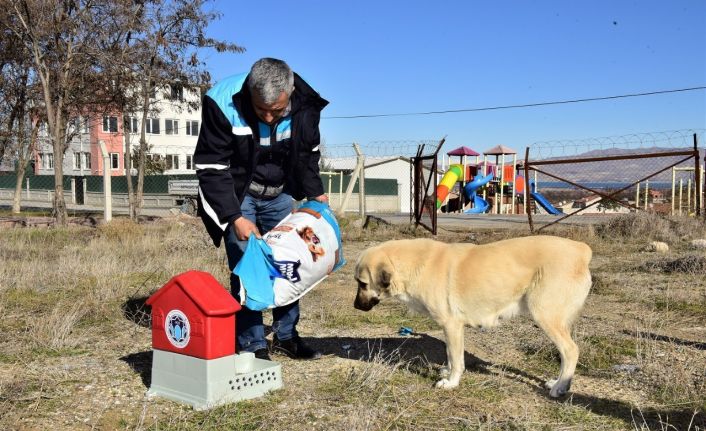 Battalgazi’de can dostlar için 19 yeni besleme noktası