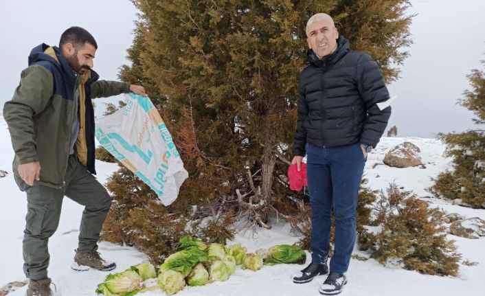 Bingöl’de  yaban hayvanları için doğaya yem bırakıldı