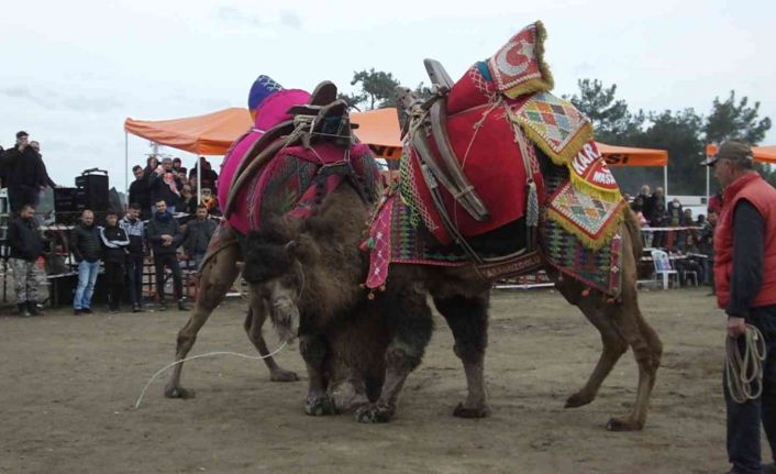 Burhaniye’de festival hazırlıkları tamamlandı