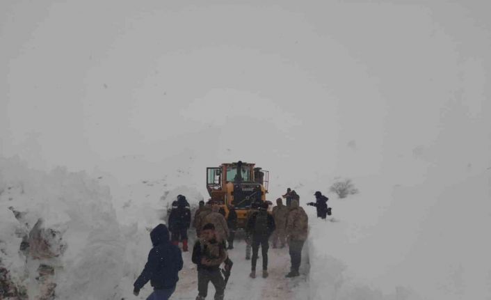 Şemdinli sınırında kaybolan 3 İranlı’dan haber alınamıyor