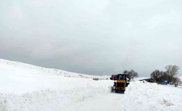 Tercan’da kardan kapalı köy ve mezra yolları açıldı