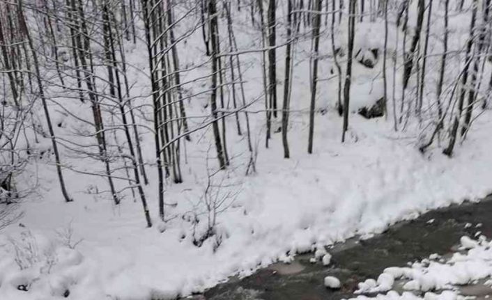 Trabzon’da buzlanan yolda pikap dereye uçtu: 1 yaralı