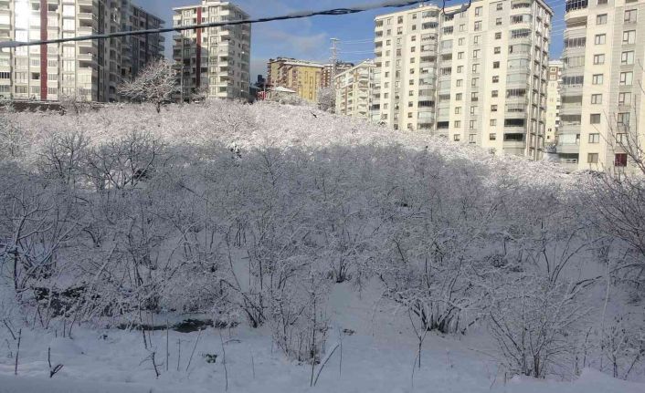 Trabzon’da kar yüksek kesimlerde etkili oldu