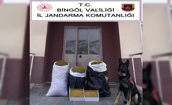 ’Yaba’ kokladı, Bingöl’de 75 kilo kıyılmış tütün ele geçirildi