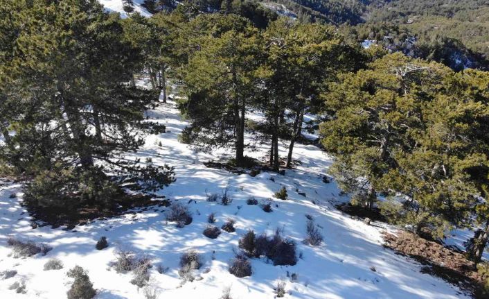 13 gündür aranan gençten acı haber