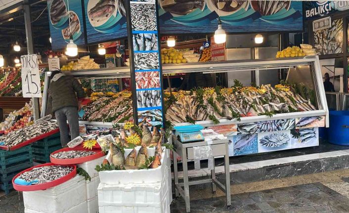 Balık tezgahlarında bolluk yaşanıyor