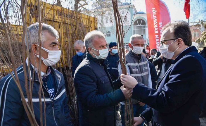 Bilecik cennet hurmasının merkezi olma yolunda