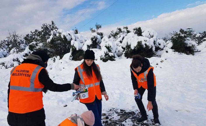 BTÜ öğrencileri sokak hayvanlarını unutmadı