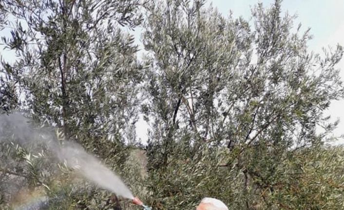 Diker, halkalı leke hastalığına karşı uyarıyor