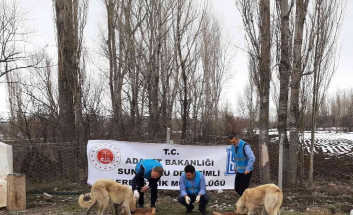 Doğada yaşayan hayvanlar unutulmadı