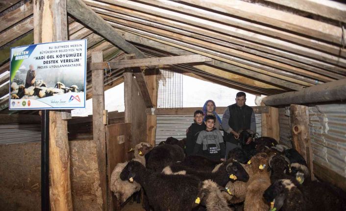 ’Haydi gel köyümüze destek verelim’ projesi, damızlıklarla çoğalıyor