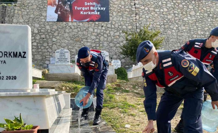 Jandarma, İdlib şehidinin kabrini temizledi