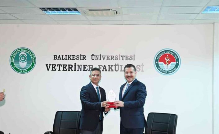 Sokak hayvanları için güç birliği