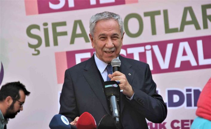 Arınç: “Evliya çelebi bu günleri görse kahrından ölürdü”