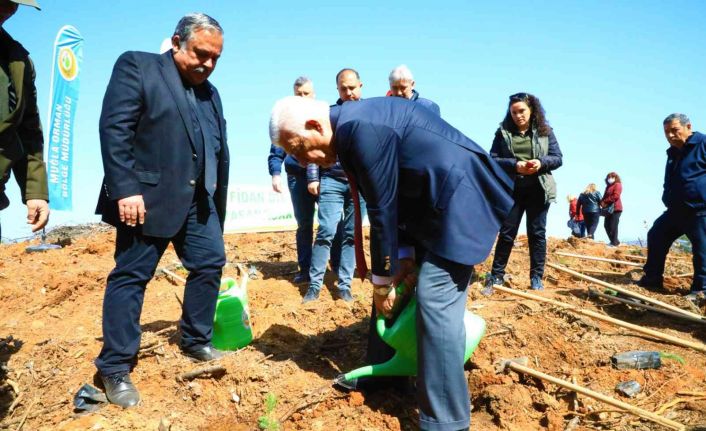 Avni Burak Yenice için hatıra ormanı