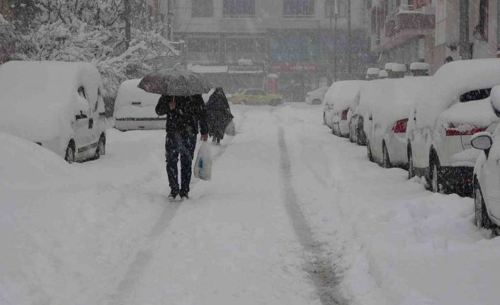 Baharı bekleyen Bingöl kara kışa teslim oldu