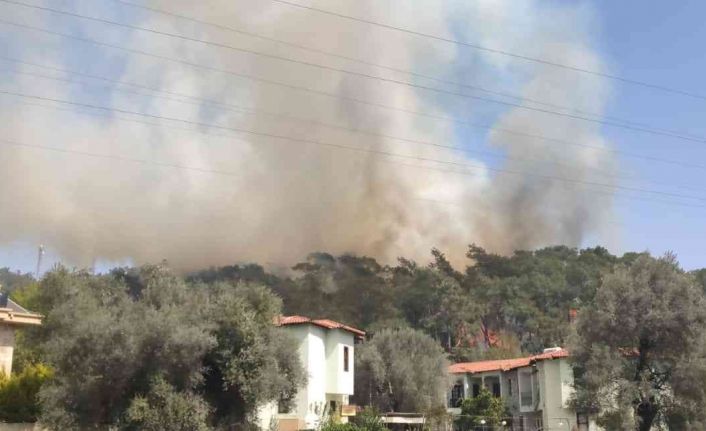 Fethiye’de orman yangını