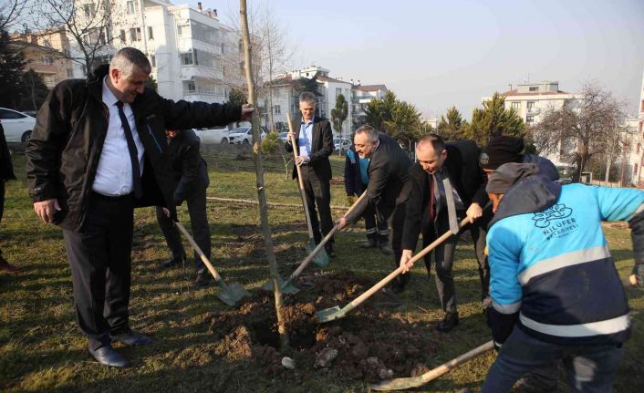 Fidanlar toprakla buluştu