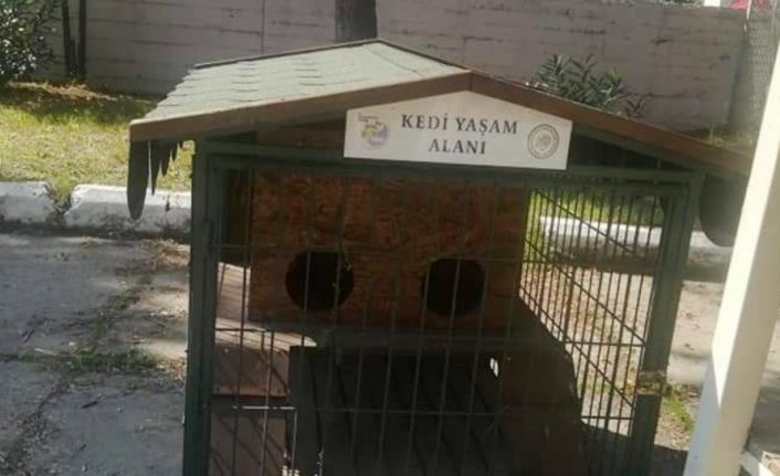 Hırsızlar bunu da yaptı