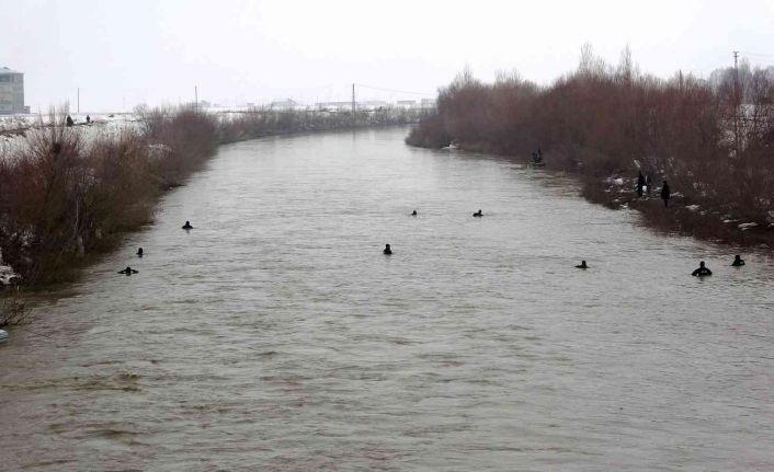 Karasu Nehri’nde kaybolan Yağmur için Murat Nehri’ne de ağ çekildi