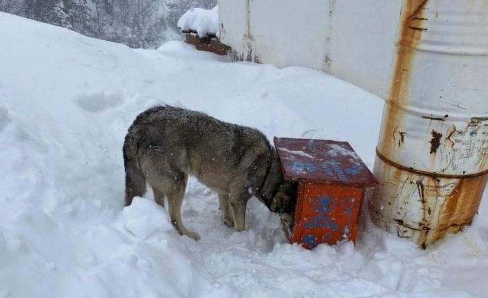 Karda kışta unutulmadılar