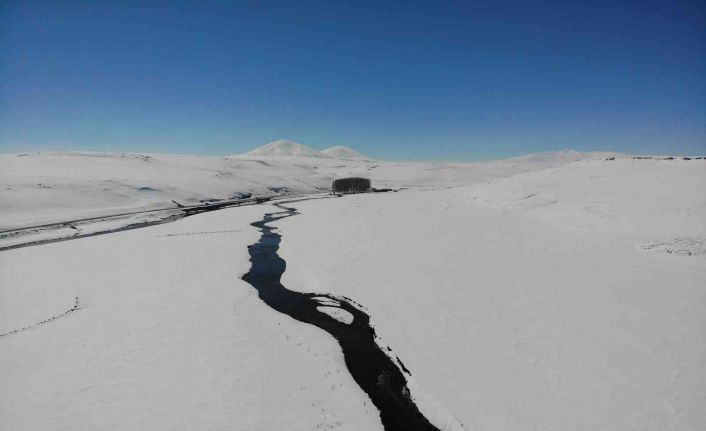 Kars’ta kar altındaki menderesler büyülüyor