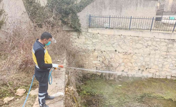 Kastamonu’da haşere ile mücadele çalışmalarını sürdürüyor