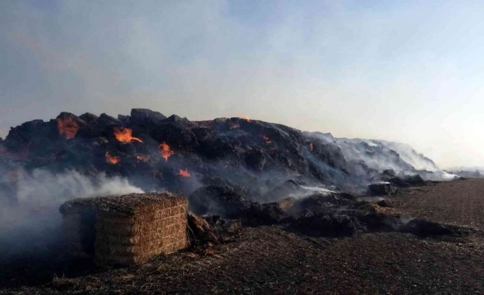 Yozgat’ta bin 500 saman balyası küle döndü