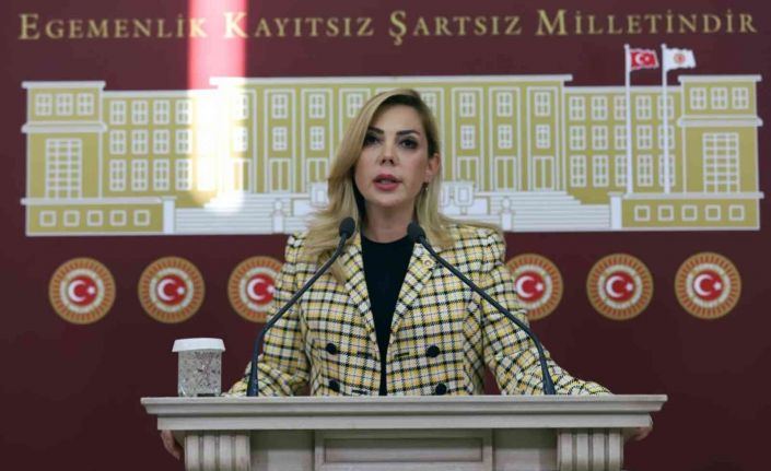 AK Parti Milletvekili Gökcan’dan 23 Nisan mesajı