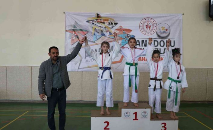 ANALİG Judo yarı final müsabakaları Erzincan’da yapıldı