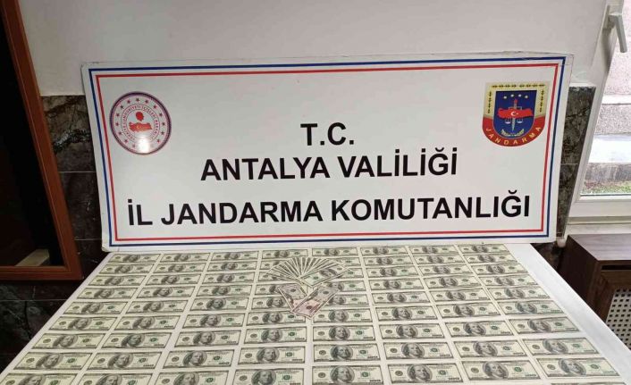 Antalya’da sahte dolar operasyonu: 2 gözaltı