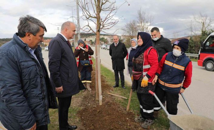 Düzce Belediyesi Park bahçeler ilk çeyreği dolu dolu geçirdi